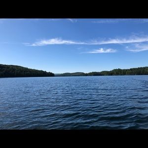 Meet your Posher, Monica